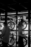 _AR_7333 (1)