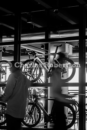 _AR_7333 (1)